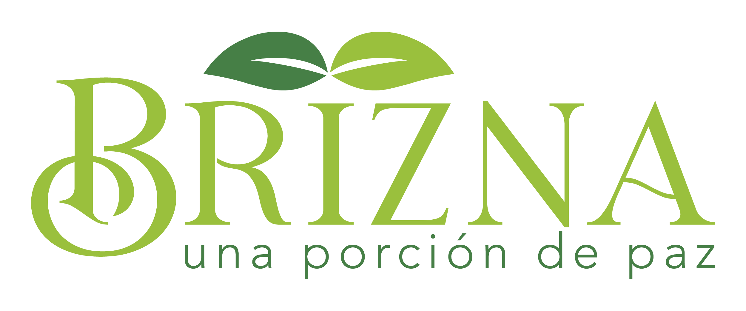 Logo Empresa 2
